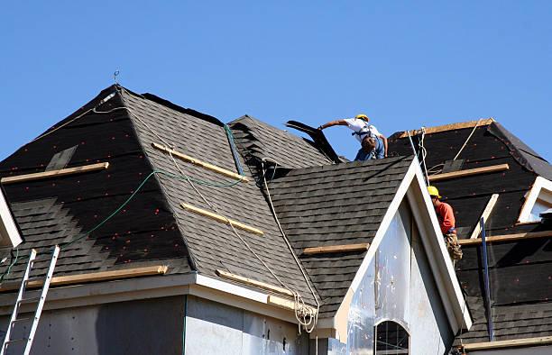Best Metal Roofing Contractor  in Elwood, IN